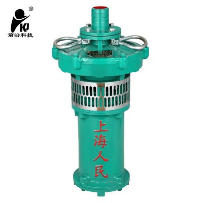 油浸泵油浸式潛水電泵大流量高揚(yáng)程潛水泵工地水泵廠家直銷(xiāo)