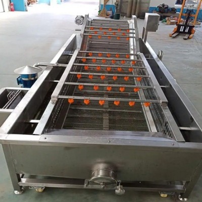 果蔬氣泡清洗機 水果蔬菜自動噴淋清洗機 清洗漂燙冷卻風干流水線