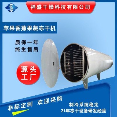 廠家供應蘋果凍干機香蕉梨子凍干機 檸檬果蔬凍干機（5-250平方）