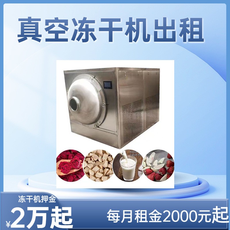 出租30平真空凍干機(jī) 蔬菜干食品類設(shè)備 FD低溫凍干機(jī)線