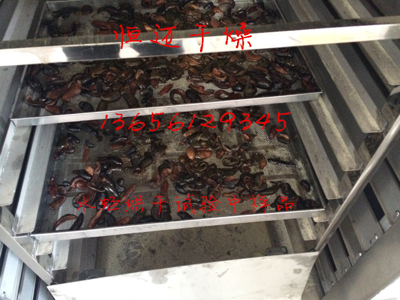 碳鋼噴漆O型烘箱