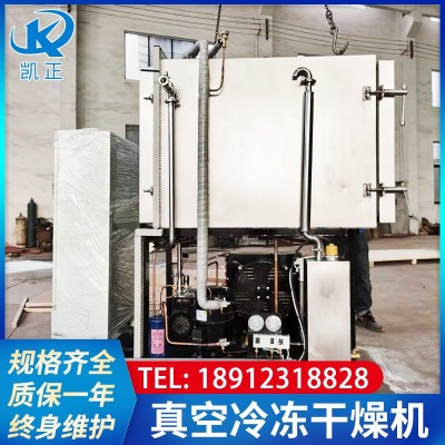 食品果蔬凍干機 自動水果片冷凍干燥機 低溫真空冷凍干燥機