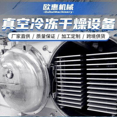 定制蔬菜水果肉類冷凍干燥設(shè)備 自動(dòng)化真空凍干機(jī)器凍干機(jī)冷干機(jī)