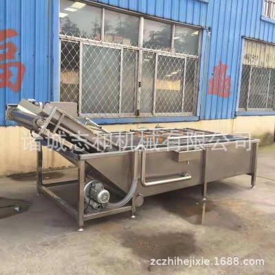 廠家直供翻浪清洗機(jī) 蔬菜水果氣泡清洗機(jī) 中藥材清洗設(shè)備