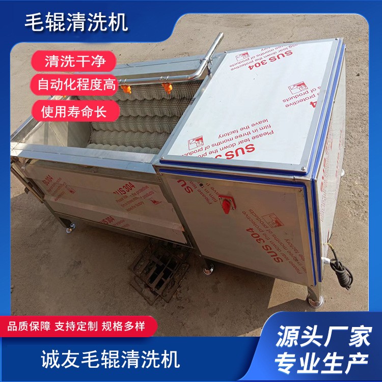 全自動商用毛輥清洗機 土豆大姜紅薯去皮清洗設備