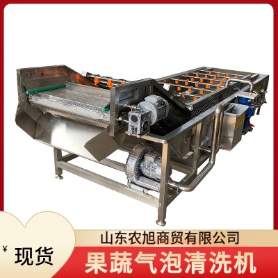 大蒜鮮蒜清洗設(shè)備 麻葉預(yù)制菜氣泡清洗機(jī) 山野菜加工成套設(shè)現(xiàn)貨