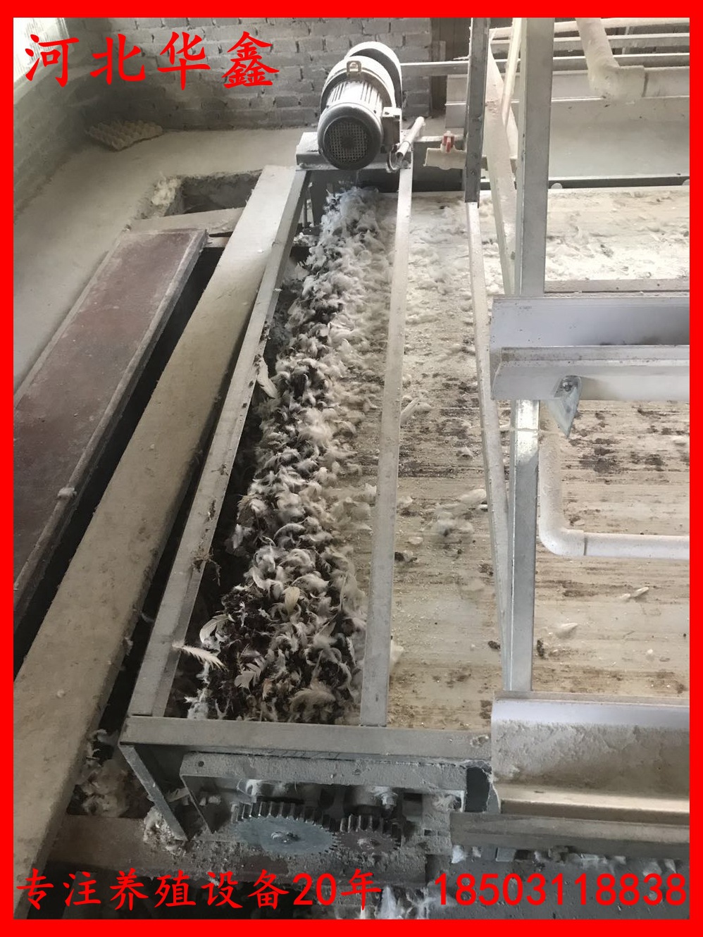 寰俊鍥劇墖_2017082616100511