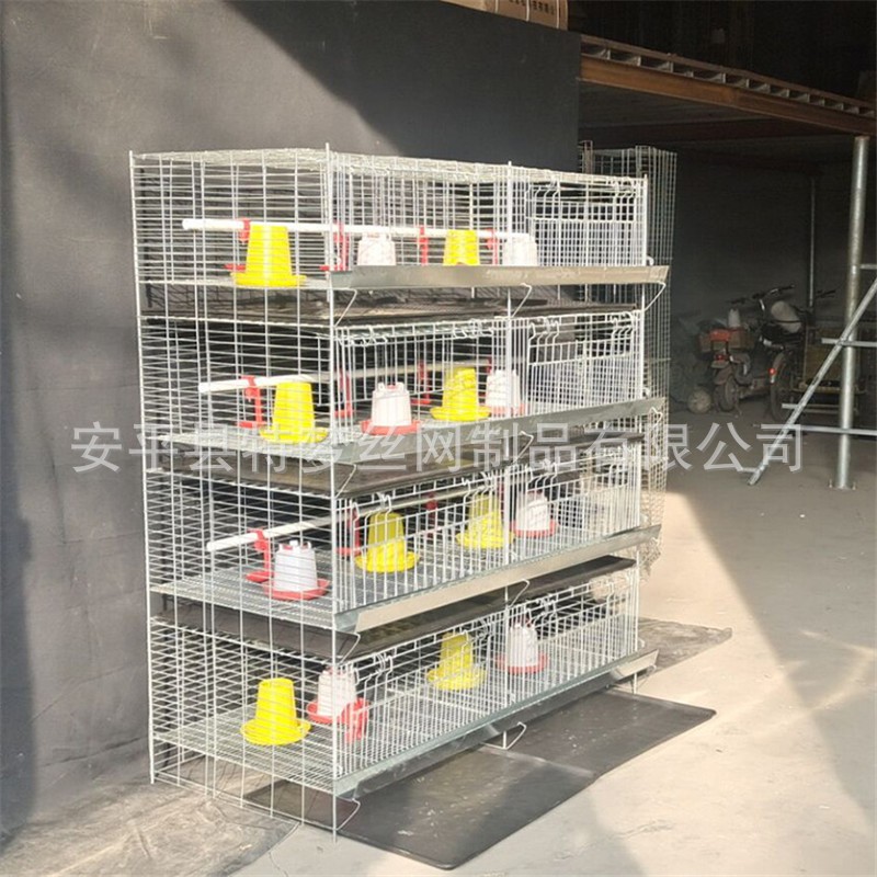 雛雞籠 加粗加密彈簧門育雛籠 養(yǎng)殖小雞籠 四層8門立式小雞籠