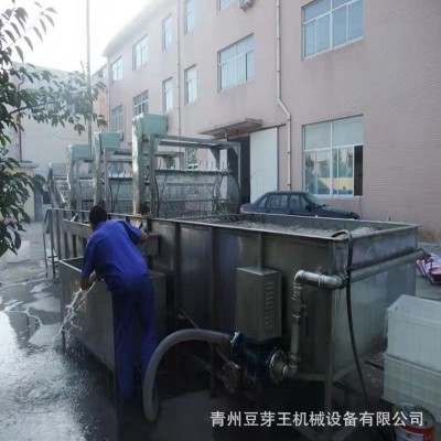 省人工豆芽清洗機(jī) 綠豆芽加工設(shè)備清洗機(jī) 綠豆芽清洗生產(chǎn)流水線