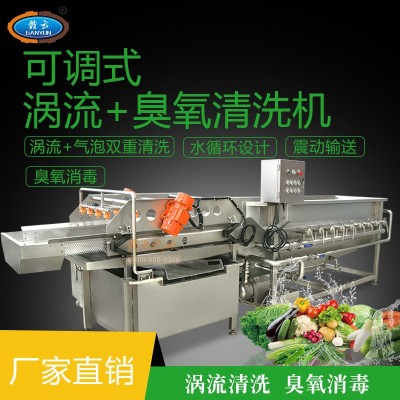 渦流震蕩清洗機 全自動蔬菜清洗機 流水線洗菜機 臭氧氣泡洗菜機