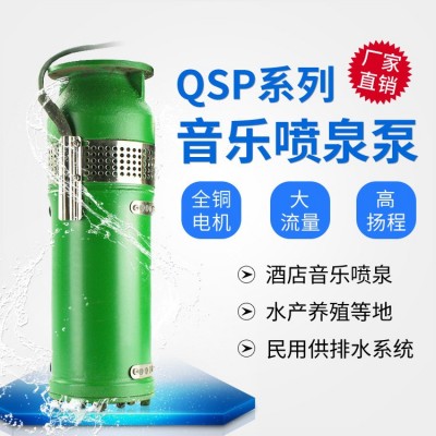 QSP鑄鐵噴泉泵不銹鋼 小區景觀音樂噴泉潛水泵QSP噴泉專 用潛水泵