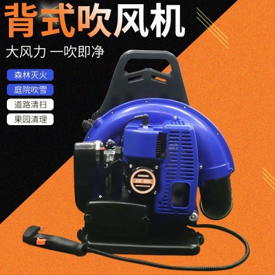 新款燃油吹風(fēng)機(jī)農(nóng)業(yè)背負(fù)式大棚吹雪機(jī)大功率滅火清理道路廠家批發(fā)
