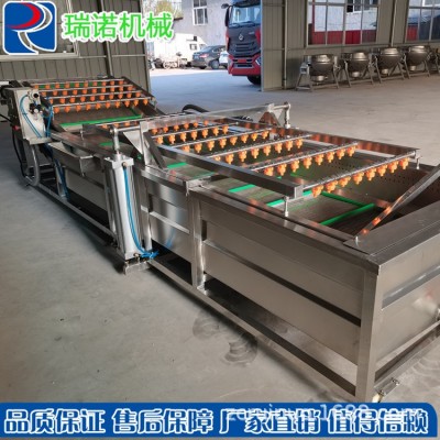 瑞諾生產全自動海產品噴淋式配套清洗流水線 果蔬氣泡清洗機