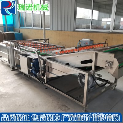 廠家直供不銹鋼果蔬清洗機 氣泡沖浪噴淋清洗機 廚房凈菜清洗線