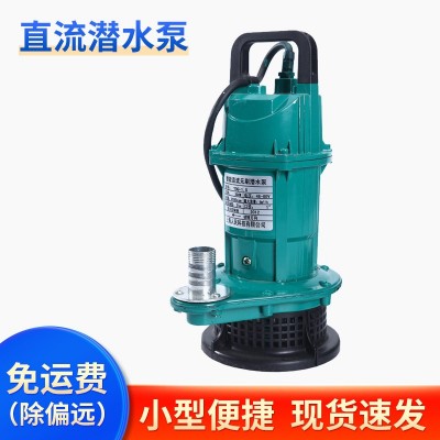 批發(fā)家用220V不銹鋼小型抽水機(jī)農(nóng)用園林灌溉潛水泵戶外直流離心泵