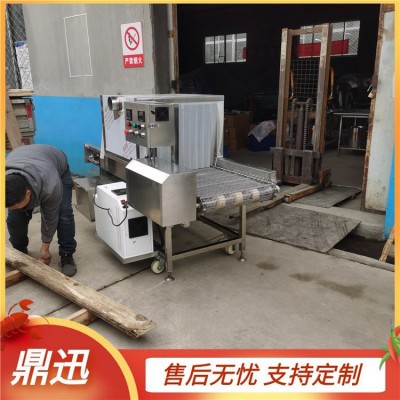 水果箱消毒機 隧道式冷鏈食品外包裝消菌設備 鼎迅制造