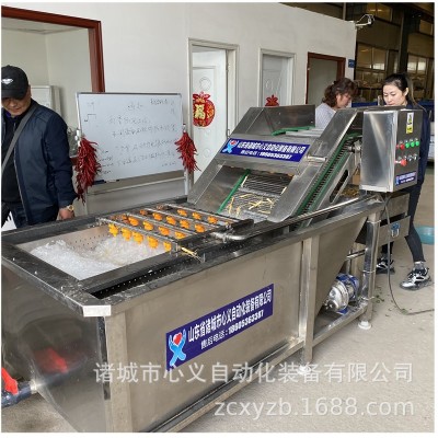 馬青菜清洗加工流水線 小油菜凈菜加工整線工程線 小白菜加工設備