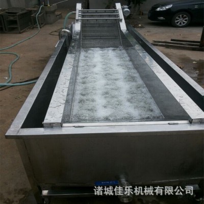 生產果蔬氣泡清洗機 食堂用臭氧殺菌果蔬清洗機 全自動洗菜機