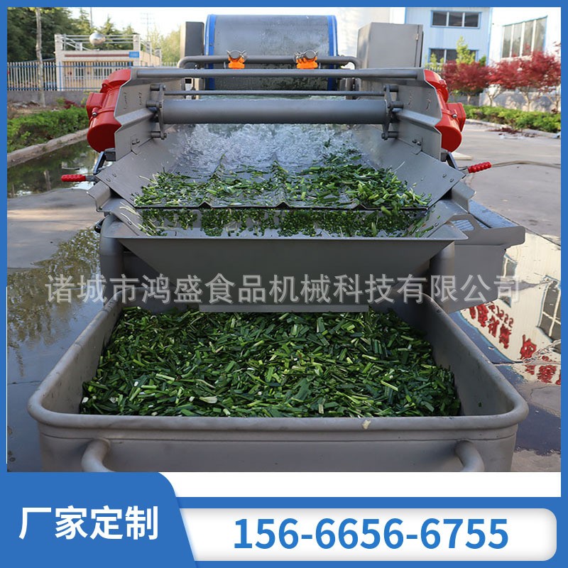 食堂蔬菜渦流清洗機(jī) 商用渦流清洗機(jī) 渦流震動(dòng)式清洗機(jī) 可定制