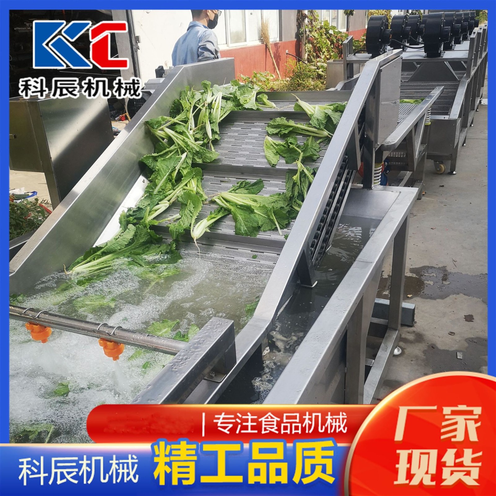 果蔬翻浪式氣泡清洗機 中藥材氣泡清洗機 蘋果鴨梨氣泡清洗機