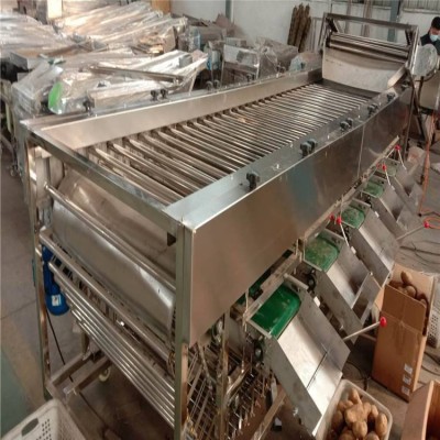 盛德利 果蔬加工設備 圣女果大棗核桃在線分級機