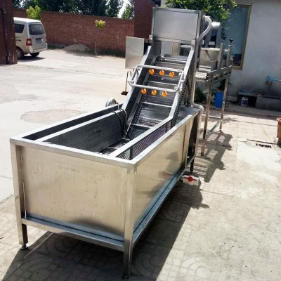 果蔬清洗機 商用水果蔬菜清機 高壓噴淋式藍莓清洗機清洗設(shè)備