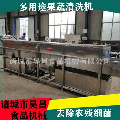 果蔬清洗機商用 爆款中藥材高壓噴淋旋流氣泡 多功能節(jié)能高效清洗