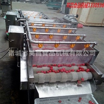 果蔬清洗機 熱賣高壓噴淋式氣泡沖浪 昊昌多功能商用旋流蔬菜清洗