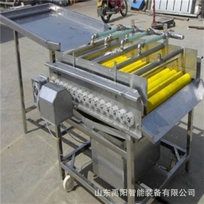現貨土豆去皮毛輥清洗機 豬蹄羊蹄清洗機 芋頭中藥材毛輥清洗機