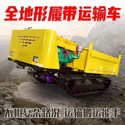 路特威履帶式運(yùn)輸車(chē) 座駕式爬山虎搬運(yùn)車(chē) 全地形農(nóng)用柴油自卸車(chē)