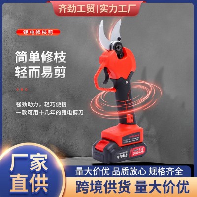 電動(dòng)修枝剪家用枝剪刀園林充電式果樹(shù)修剪樹(shù)多種功能鋰電電 剪刀