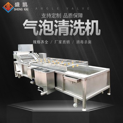 大型蔬菜清洗機 多功能全自動果蔬噴淋式洗菜機