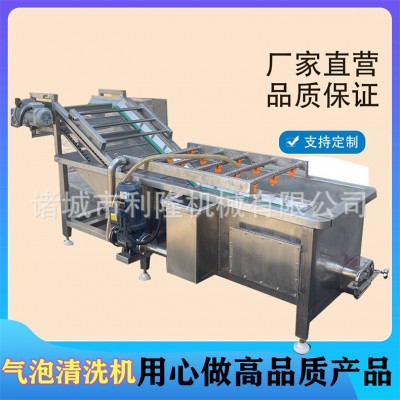全自動果蔬食材清洗機(jī) 大姜清洗泥沙機(jī) 小白菜油菜氣泡清洗機(jī)