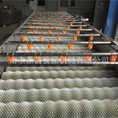 牡蠣毛輥清洗機全自動不銹鋼毛輥清洗機大姜根莖類蔬菜毛刷清洗機