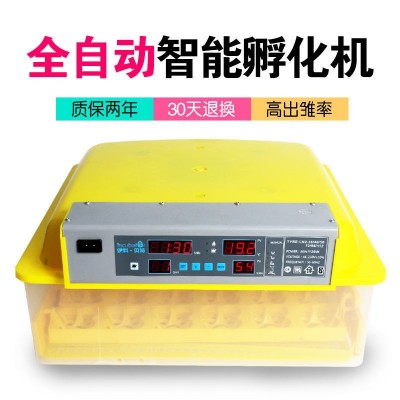 伊科貝特孵化機全自動家用型小型雞鴨鵝鴿子孵化箱36枚48枚孵蛋器