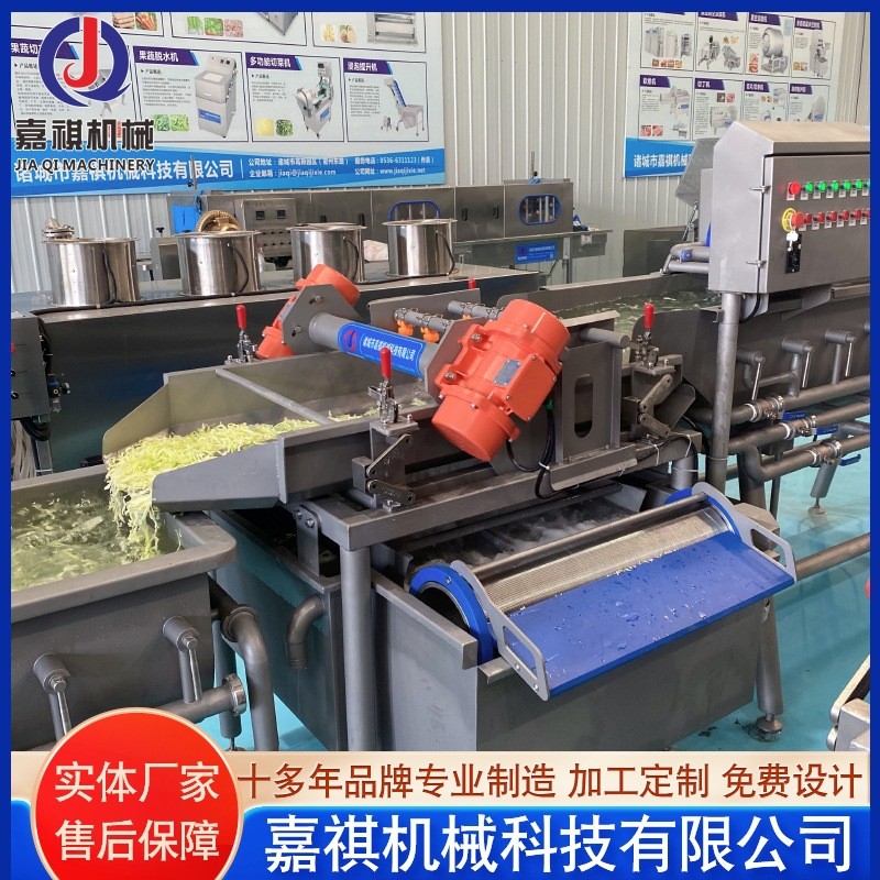 渦流清洗機 凈菜加工設備 根莖類蔬菜加工設備 葉菜類加工設備
