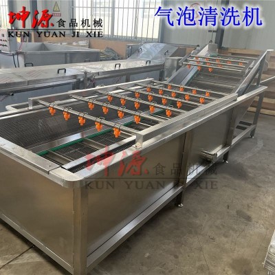 新款全自動噴淋式大型水果蔬菜高壓清洗機(jī)醬菜脫鹽機(jī) 氣泡清洗機(jī)