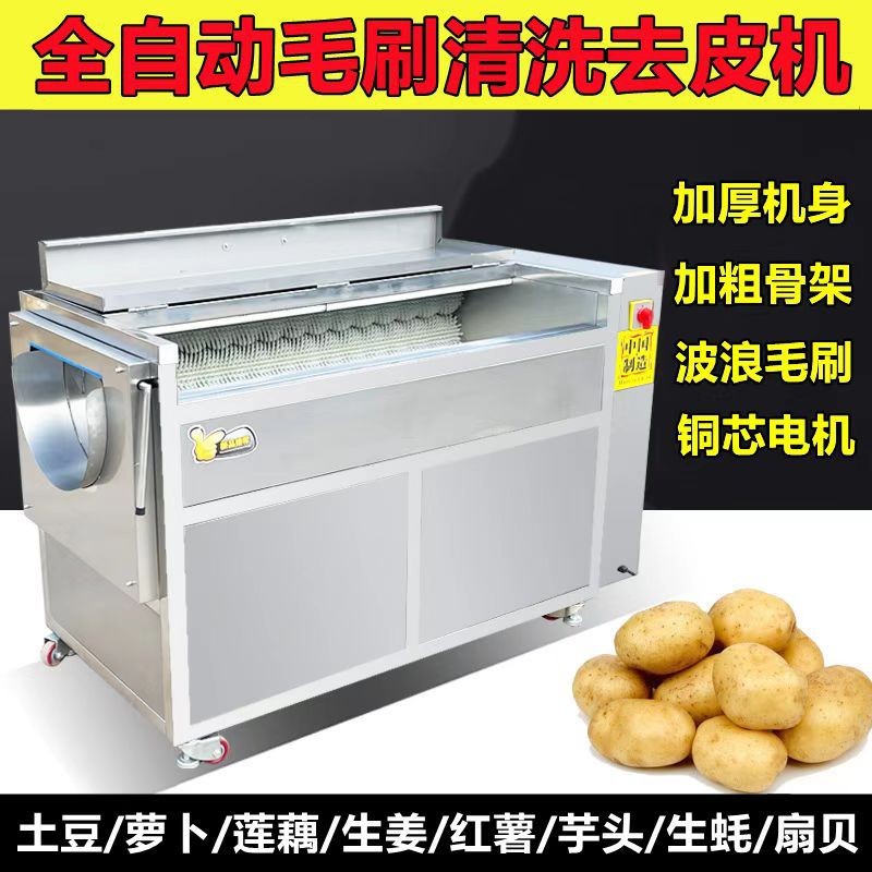全自動毛輥清洗機花生紅薯芋頭生姜土豆清洗去泥去皮機生蠔清洗機
