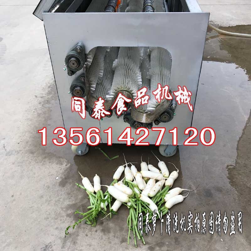 韓國小蘿卜清洗機