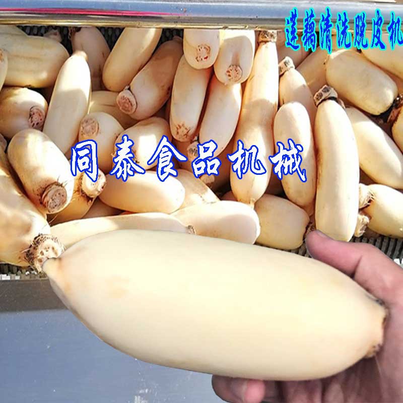 蓮藕清洗脫皮機1