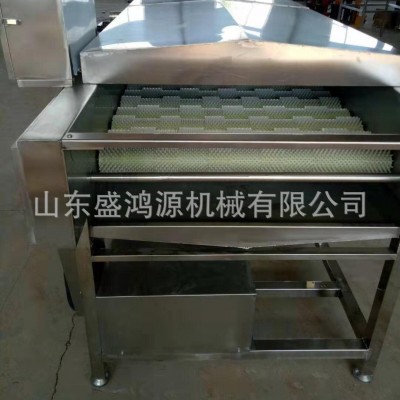 紅薯土豆去皮清洗機 全自動毛刷輥洗姜機 多功能根莖類藥材清洗機