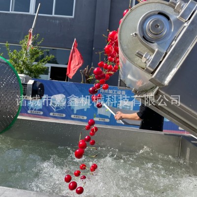 嘉鑫生產(chǎn)漩流芹菜段清洗機 多功能菜椒塊渦流清洗震動瀝水一體機