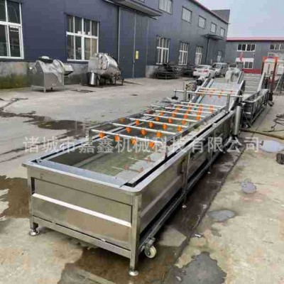 全自動海帶清洗機 裙帶菜氣泡翻滾清洗設(shè)備 海白菜洗菜清洗流水線