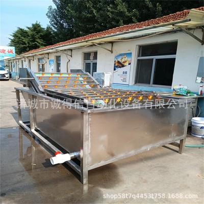 源頭廠家供應(yīng)楊梅黃桃氣泡清洗機(jī) 全自動(dòng)高壓噴淋清洗機(jī)