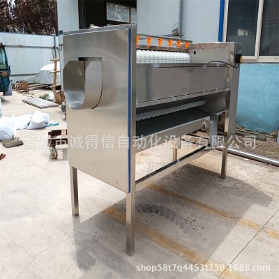 全自動(dòng)毛輥脫皮清洗機(jī) 土豆蘿卜蓮藕脫皮清洗設(shè)備