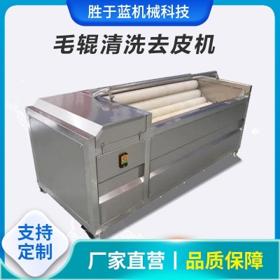 全自動海蠣子扇貝清洗機 大蔥去皮清洗設備 獼猴桃毛輥清洗機