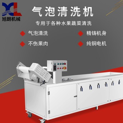 旭朗氣泡清洗機(jī)全自動(dòng)小型葡萄紅棗水果風(fēng)干洗菜機(jī)果蔬清洗機(jī)工廠