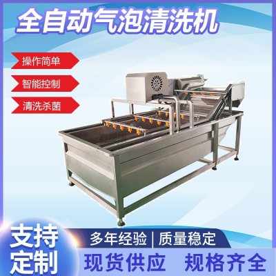 全自動果蔬氣泡清洗機大姜毛豆山野菜蘑菇清洗設備噴淋式洗菜機