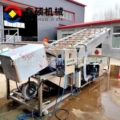 廠家供應(yīng)氣泡清洗機(jī) 不銹鋼材質(zhì)果蔬清洗線 彩椒金針菇清洗機(jī)設(shè)備