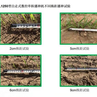 自走式數控單粒播種機(谷物類)